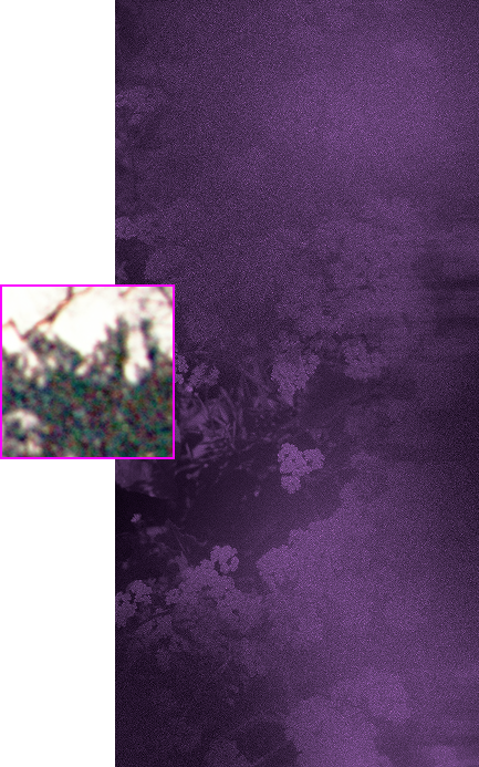 right image